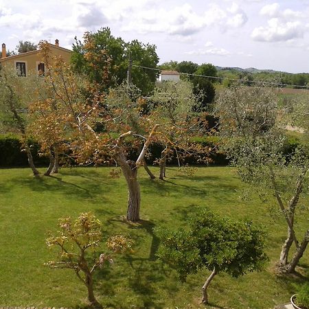 Il Punto Verde SantʼAntonio 外观 照片