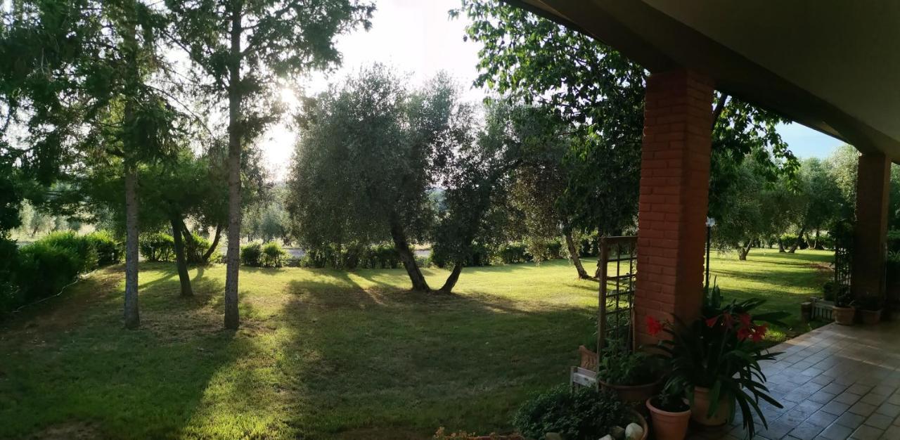 Il Punto Verde SantʼAntonio 外观 照片
