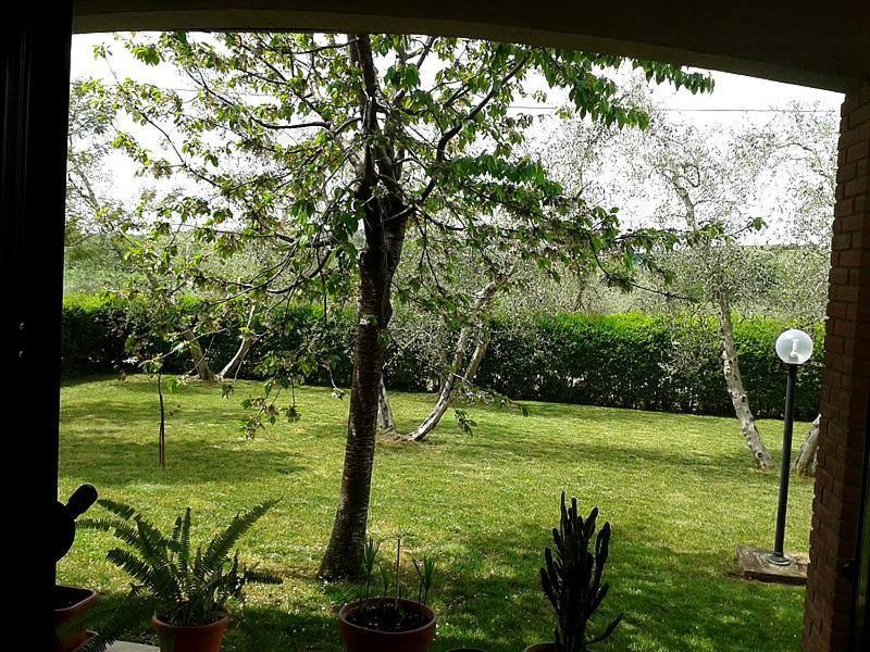 Il Punto Verde SantʼAntonio 外观 照片