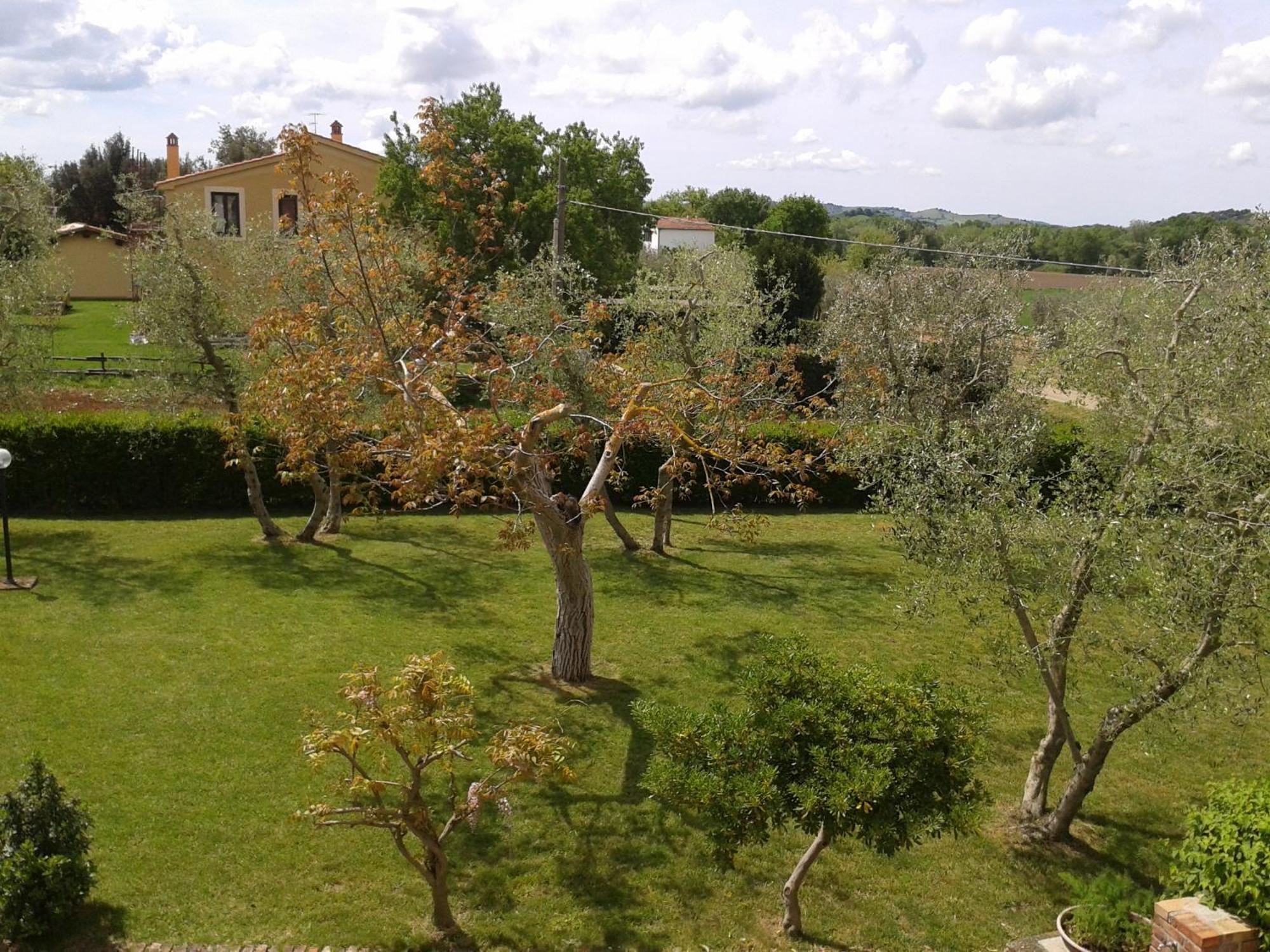 Il Punto Verde SantʼAntonio 外观 照片