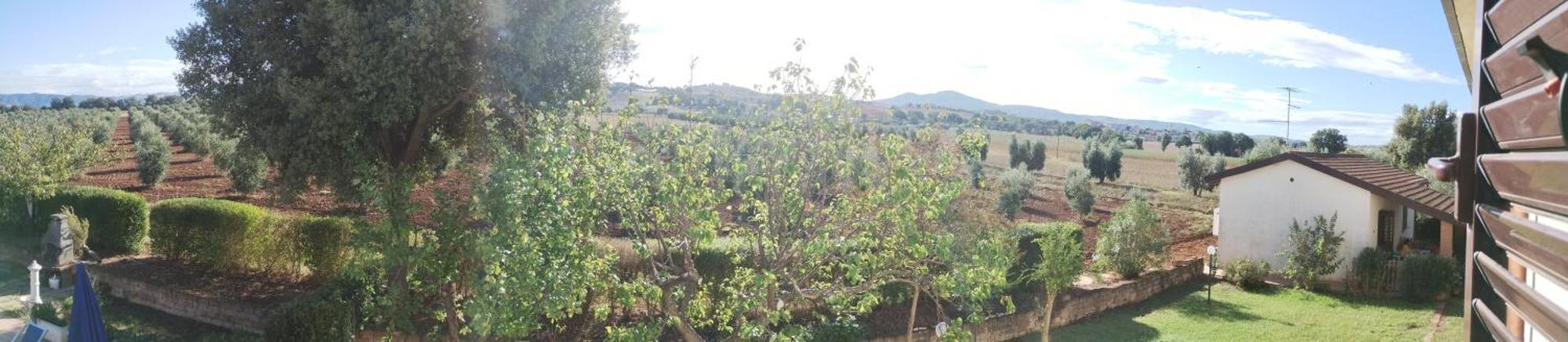 Il Punto Verde SantʼAntonio 外观 照片