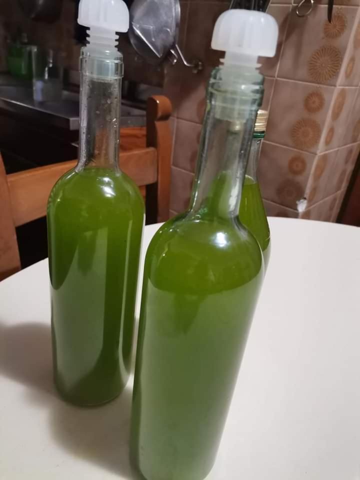 Il Punto Verde SantʼAntonio 外观 照片