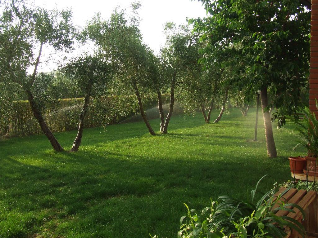 Il Punto Verde SantʼAntonio 外观 照片