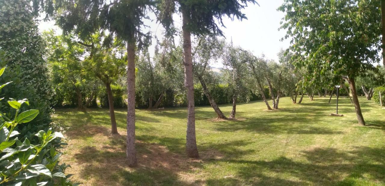 Il Punto Verde SantʼAntonio 外观 照片